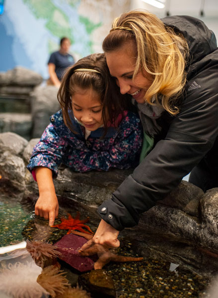 mother and daughter touching a starfish in a fish tank
