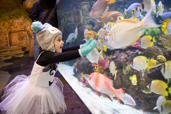 Young girl admiring fish tank